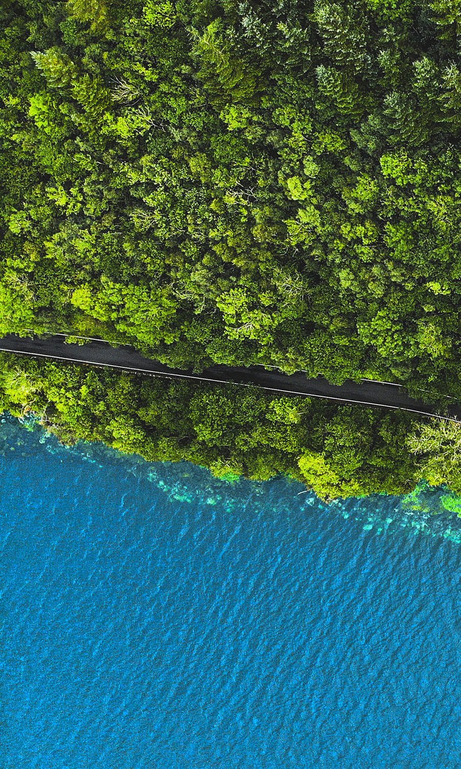 Embroidery Digitizing Software: The Heart of Modern Embroidery Design