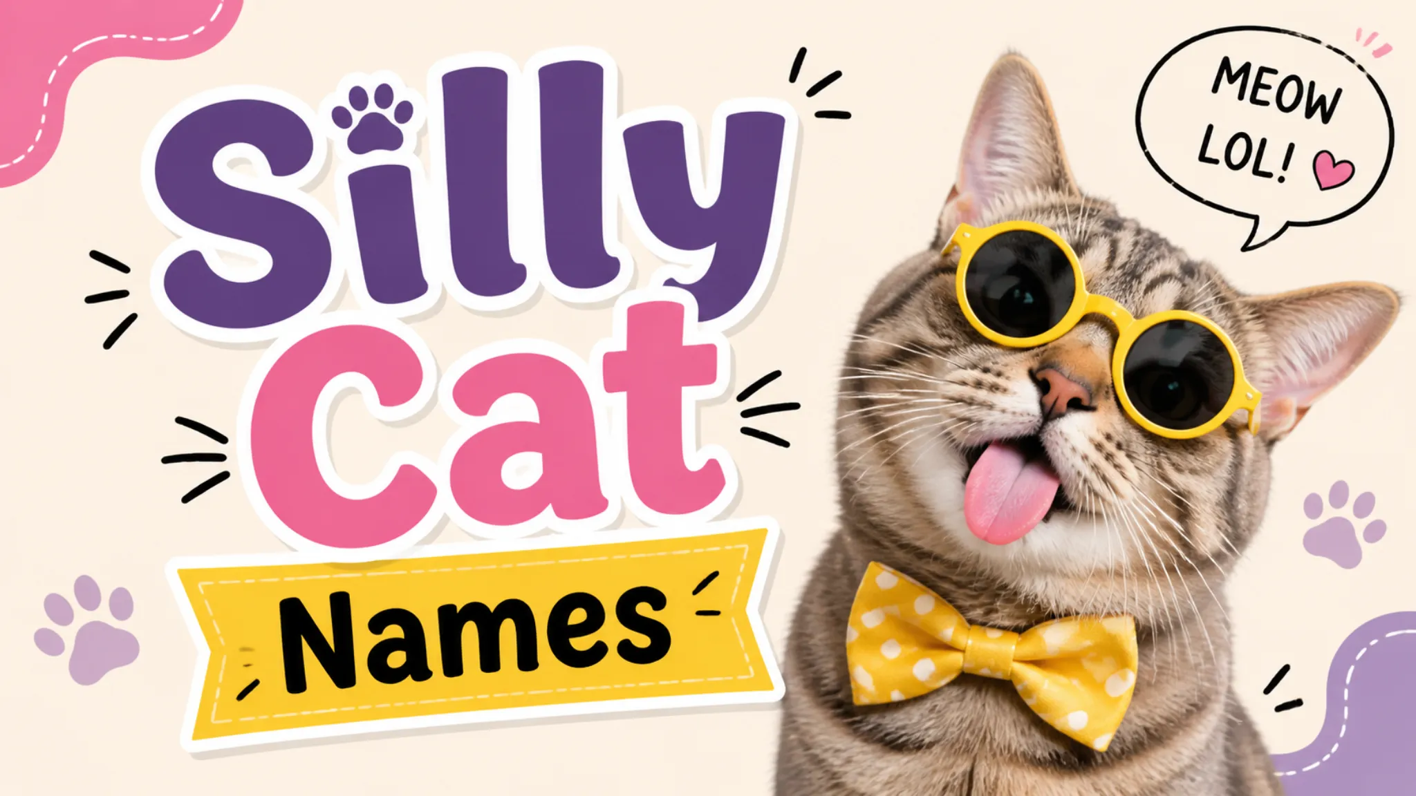 Silly Cat Names Explained Simply: Top Picks, Meanings, and Tips for 2026